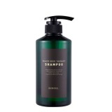 Шампунь для волос с экстрактом плодов черники Eunyul Black Seed Therapy Shampoo