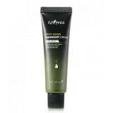 Успокаивающий крем с экстрактом японской полыни IsNtree Spot Saver Mugwort Cream