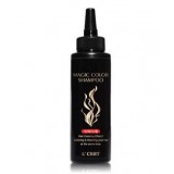 Шампунь для волос оттеночный Lioele L'cret Magic Color Shampoo