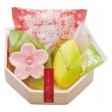 Набор “цветы и травы” (маленький) Master Soap Saika Dayori Soap Set (Small)