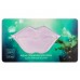 Маска для губ увлажняющая с коллагеном Nature Republic Aqua Collagen Solution Marine Hydrogel Lip Patch фото-2