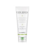 Пенка для умывания с экстрактом чайного дерева Secret Key Pure Green Ac Control Cleansing Foam